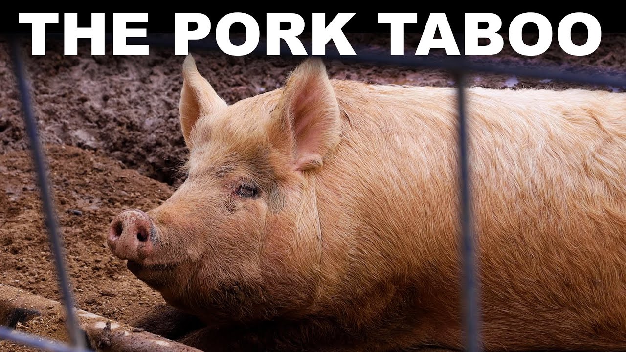 Why billions of people won't eat pork