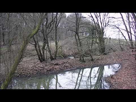 Ein Blick in die Vergangenheit: Boitiner Landwehr