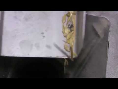 Vibro Grain Separator - 2