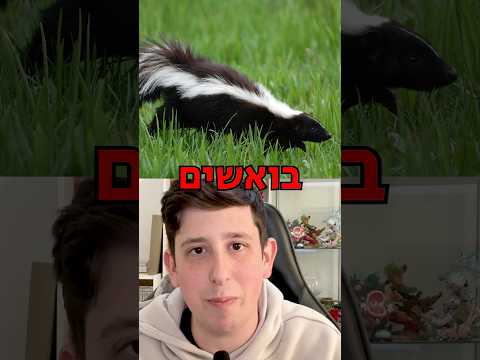 חיות מחמד לא שגרתיות