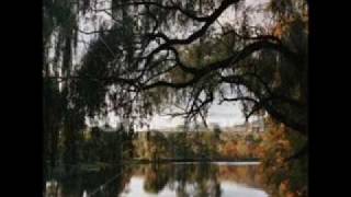 Vida hay que vivir - lu