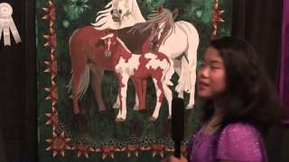 Houston Quilt Festival 2012 - Sophie Rubin - Kids Eye Review