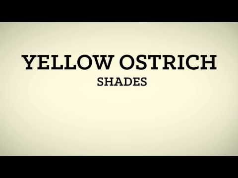 Yellow Ostrich - Cosmos - 