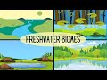 Types of Freshwater Ecosystems-Lakes-Ponds-River-Streams-Wetlands