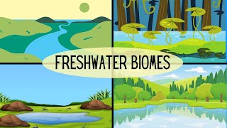 Types of Freshwater Ecosystems