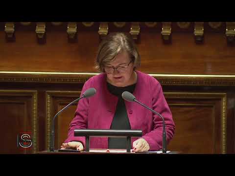 2019 01 17 - Sénat - Débat sur le retrait britannique de l'UE