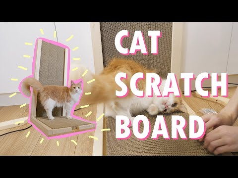 We built a scratcher for our cats