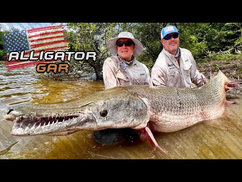 Döme Gábor - Amerikai vadvizek nagyvadjai - Alligator Gar