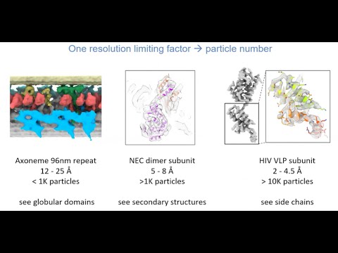 TomoNet - Automatic Particle Picking of Flexible Lattice-Like Structures for CryoET.