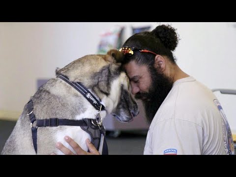 Veterans and Shelter Dogs Become Buddies for Life Through California Program
