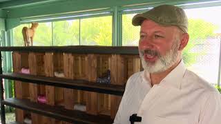 TÜRKİYE’DE İLK OLAN KÜÇÜK DOSTLAR AMBULANSI İLE 10 BİN 280 CAN KURTARILDI 23 12 2025 TÜRKİYE’DE İLK