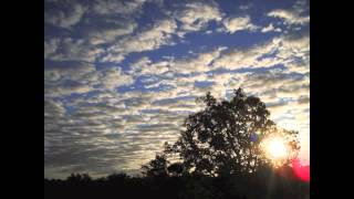 Laraaji – Being Here (Flow Goes the Universe)