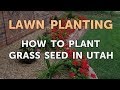 How to Plant Grass Seed in Utah