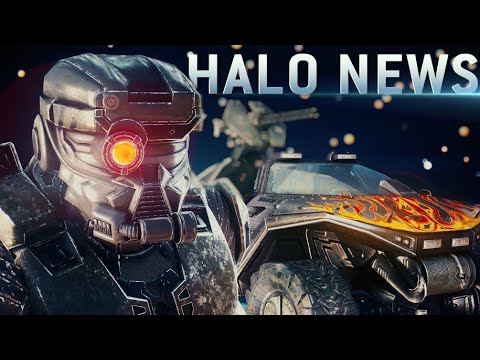 BIG HALO MCC UPDATE - Halo 4 PC, NEW Armour, Crossplay, Vehicle Skins, Console FOV/FPS + MORE!