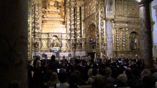 50 Anos do Coral Luisa Todi 01