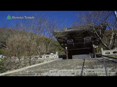 Shorenji Temple