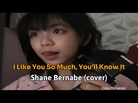 I Like You So Much, You'll Know It - Shane Bernabe (cover)