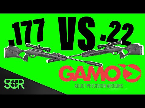 .177 VS .22 Gamo Magnum GEN3i - Which One?