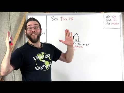 3 Essential Words & a Giant Cat (1) - Learn Scottish Gaelic