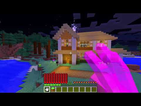 SONO DIVENTATO CARTOON CAT Su Minecraft!