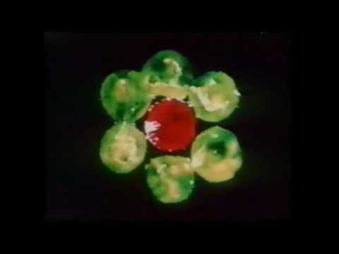 Harry Smith:  Early Abstractions 1946-57