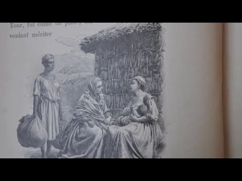 Paul & Virginia Video Summary #1787 #frenchliterature  #booksummary