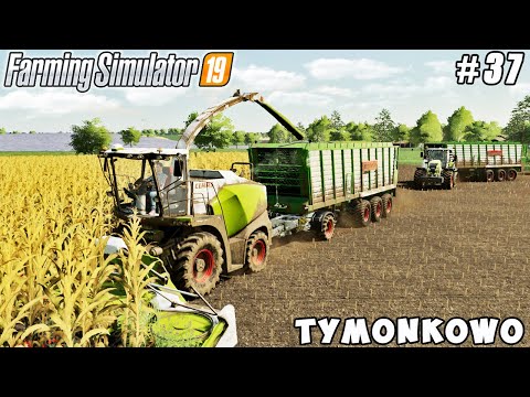Harvesting corn silage | Tymonkowo Farm | Farming simulator 19 | Timelapse #37