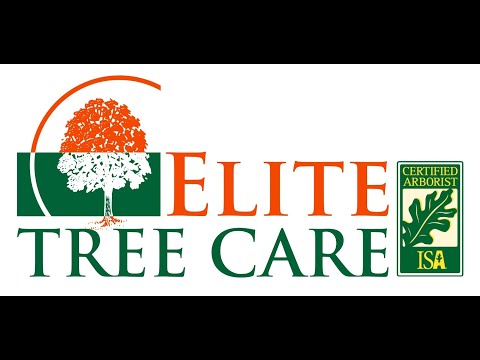 Elite Tree Care LLC video.