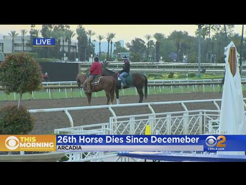 Racing Continues At Santa Anita Despite 26th Horse Death This Season