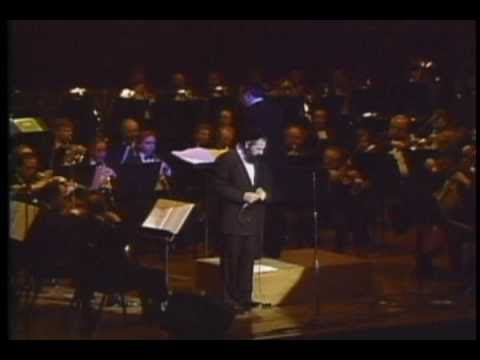 Mordechai Ben David (MBD) English Medley at HASC #2 in 1989 - מרדכי בן דוד