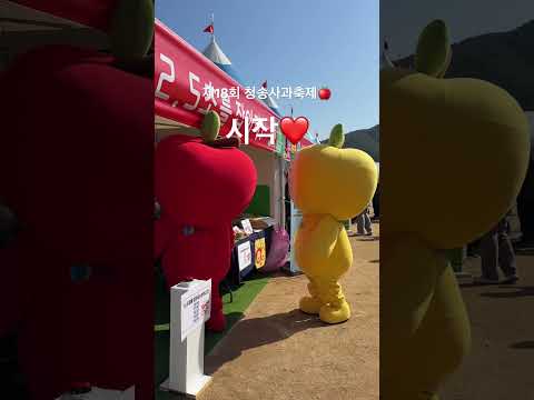 제18회 청송사과축제