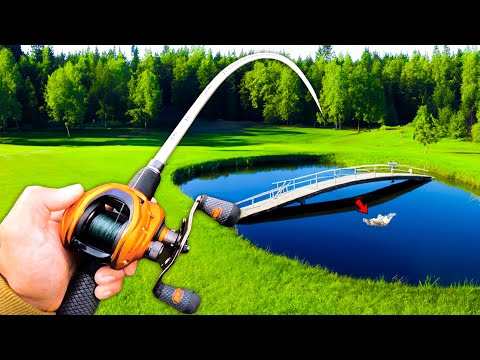 Fishing for BIG Bass in HIDDEN Pond!