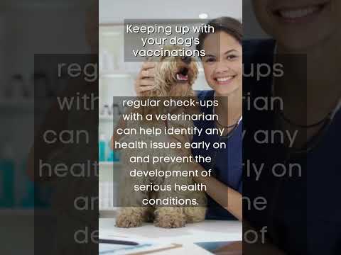 Unlock the Secret to a Healthy and Happy Dog!