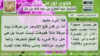 صورة 18 - حكم اقتلاع المحرم بعض الشجر - نور على الدرب