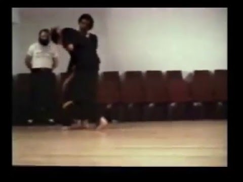 HWTO and the World, Leung Ting Wing Tsun