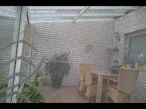 Suppenkasper Domi aka Gossendomi