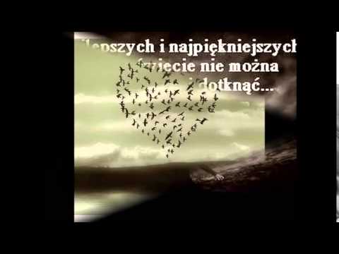 Masz walczyć    !!!!!!!