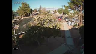 6-Year-Old Dog Lacey Shot in Yard; Hesperia Owner Pleads for Help Finding Suspect