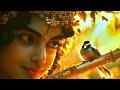 Radhe Krishna Vrindavan Dham🪷Radhe Shyam Status🪷 Youtube Status Vrindavan