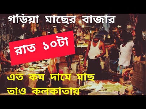 এত কম দামে মাছ তাও কলকাতায় | গড়িয়া মাছের বাজার | রাত ১০টা | The Kolkatagraphy