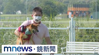 [問卦] 政見很多人提寵物公園？