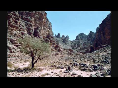 Tassili and Ahaggar National Parks