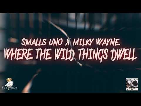 Smalls Uno X Milky Wayne - Where the Wild Things Dwell