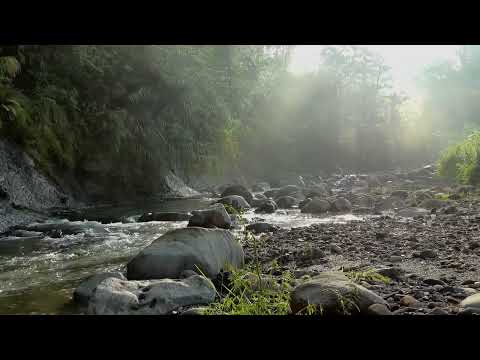 素敵な動画編集及び画像スライドショー作成致します イメージ1