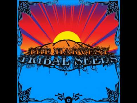 01 Tribal Seeds - The Garden
