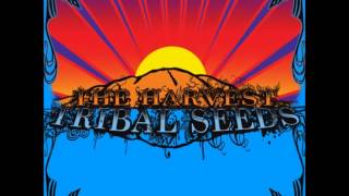 01 Tribal Seeds - The Garden