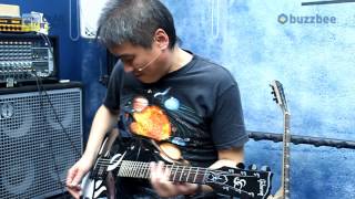 Video thumbnail for Gibson USA Sully Erna Les Paul Studio by BUZZBEE TV