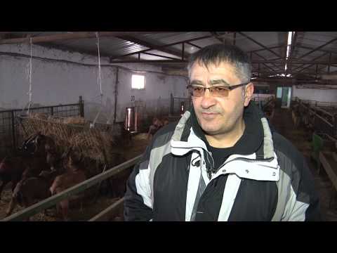 Propala farma koza - Čenej