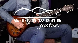 Video thumbnail for PRS Guitars DGT - Artist Package  •  SN: 190278477 by Wildwood Guitars