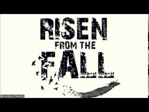 Risen From The Fall  - Knot In Vein
